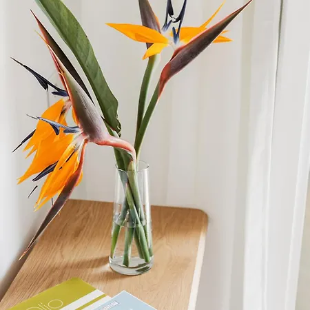 Sanremissimo & 招待所 圣雷默