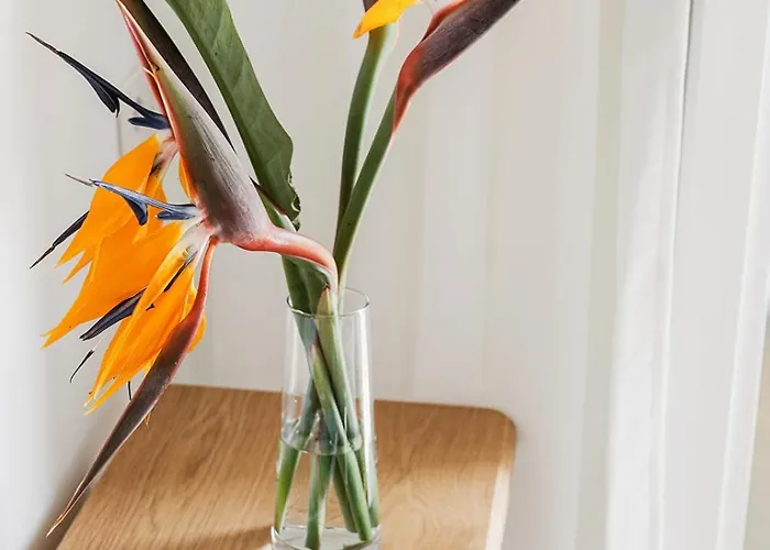 Sanremissimo & 招待所 圣雷默